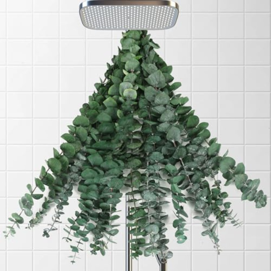 Dried Eucalyptus Stems for Sho - огляд і ціна Home Fragrance Eucalyptus