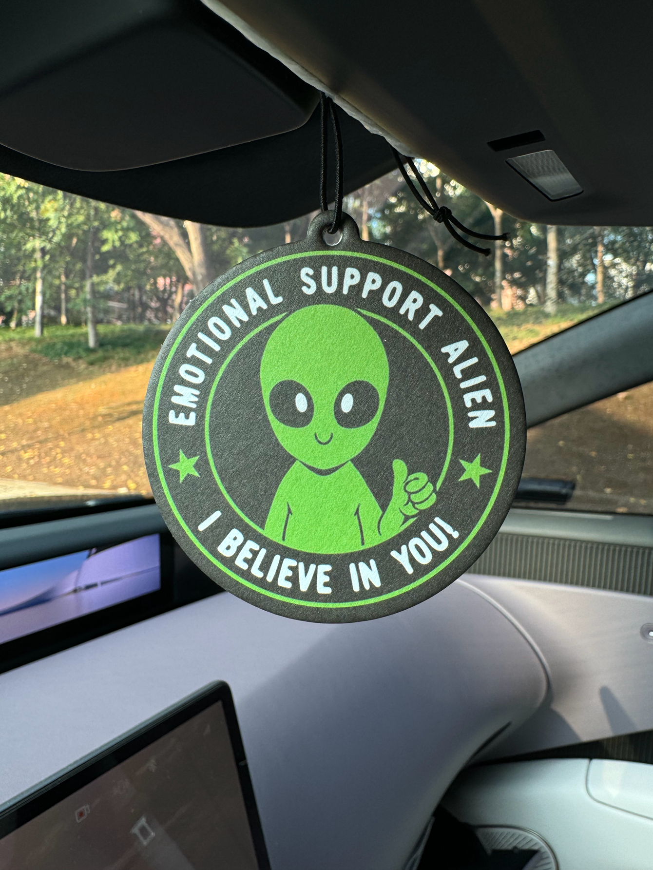Emotional Support Alien Alien  - огляд і ціна Home Fragrance Use