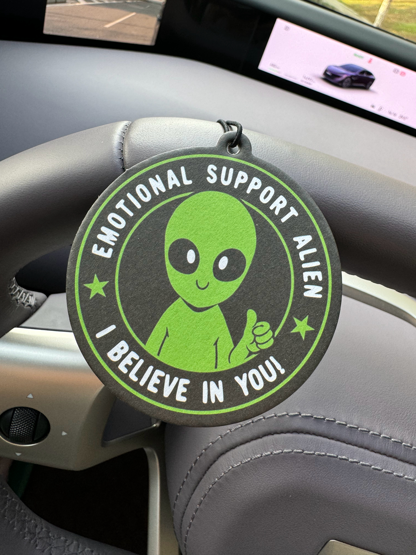 Emotional Support Alien Alien  - огляд і ціна Home Fragrance Use