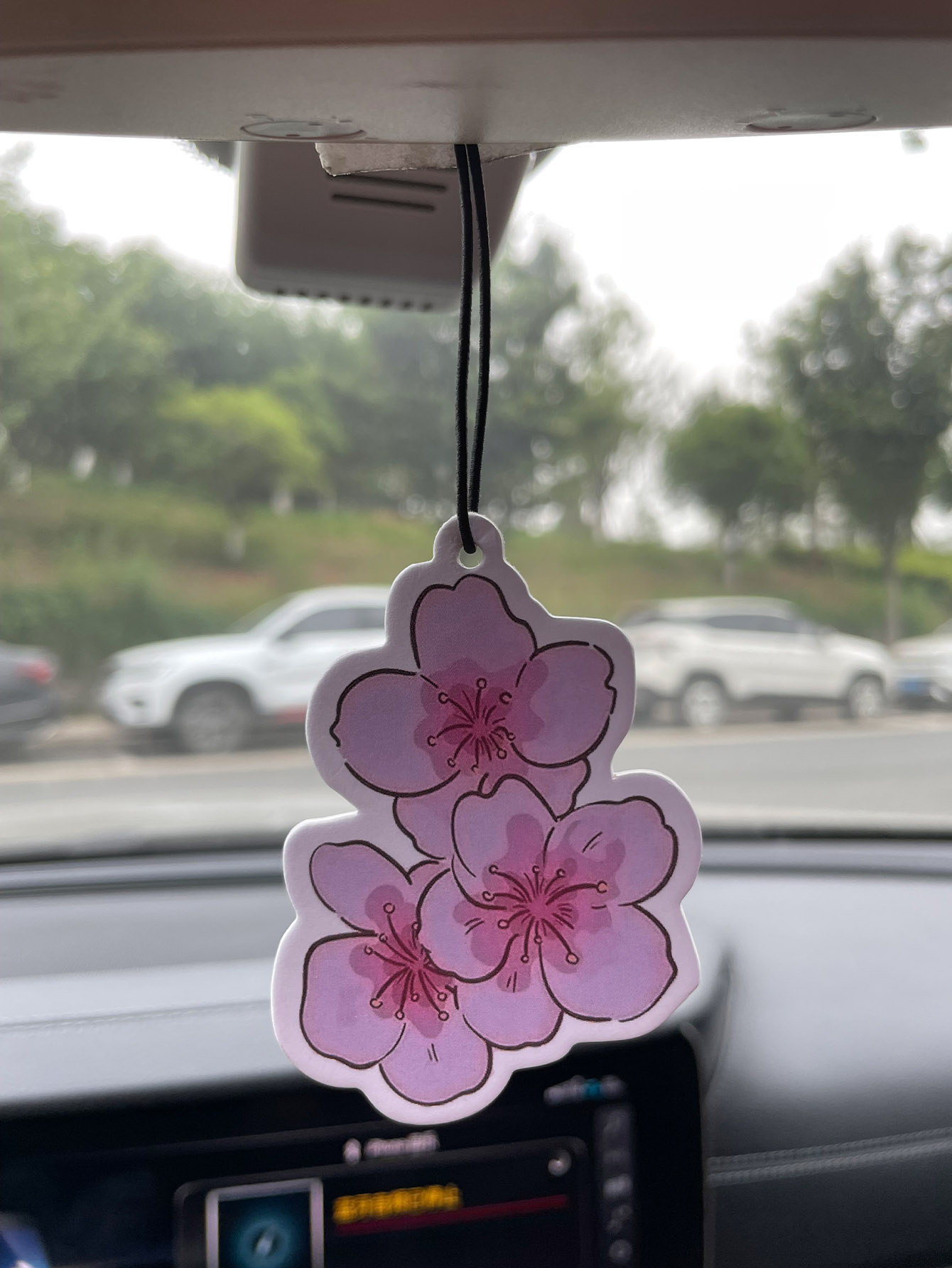 Sakura/Freesia Fresh Scent Fiv - огляд і ціна Home Fragrance Janzen