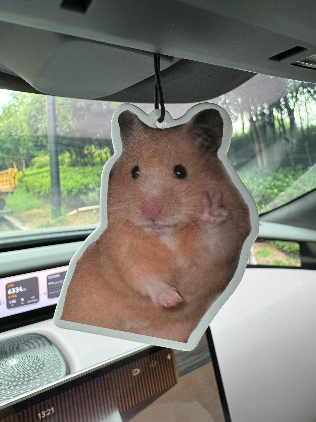 Magnet Hamster Meme Magnet Ham - огляд і ціна Home Fragrance Janzen
