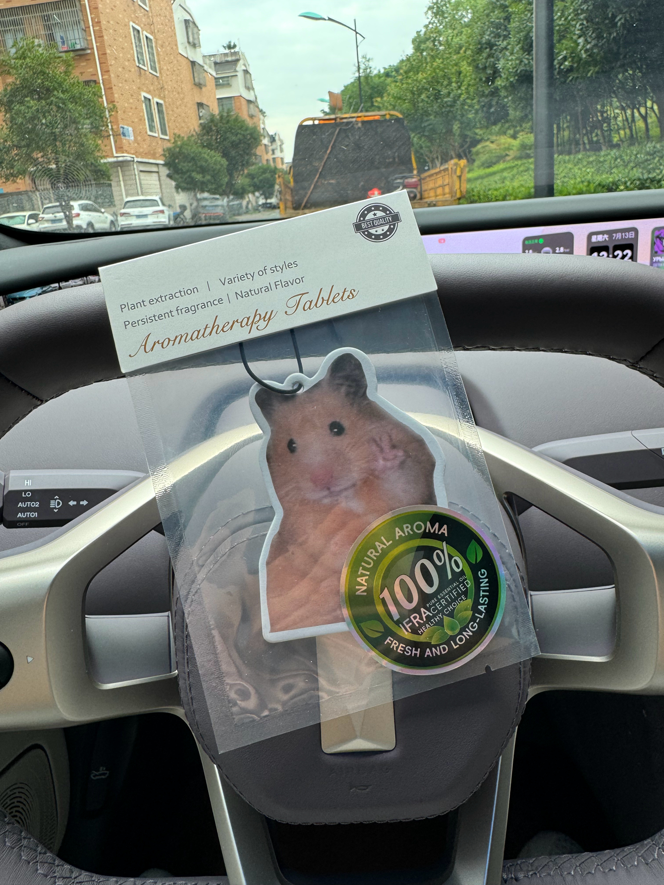 Magnet Hamster Meme Magnet Ham - огляд і ціна Home Fragrance Janzen